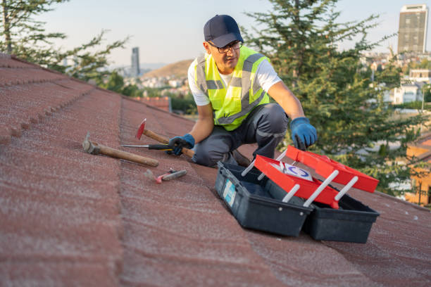 Best Shed Removal  in Mertzon, TX